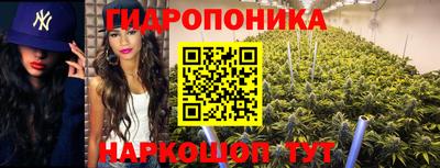 PSILOCYBIN Изобильный