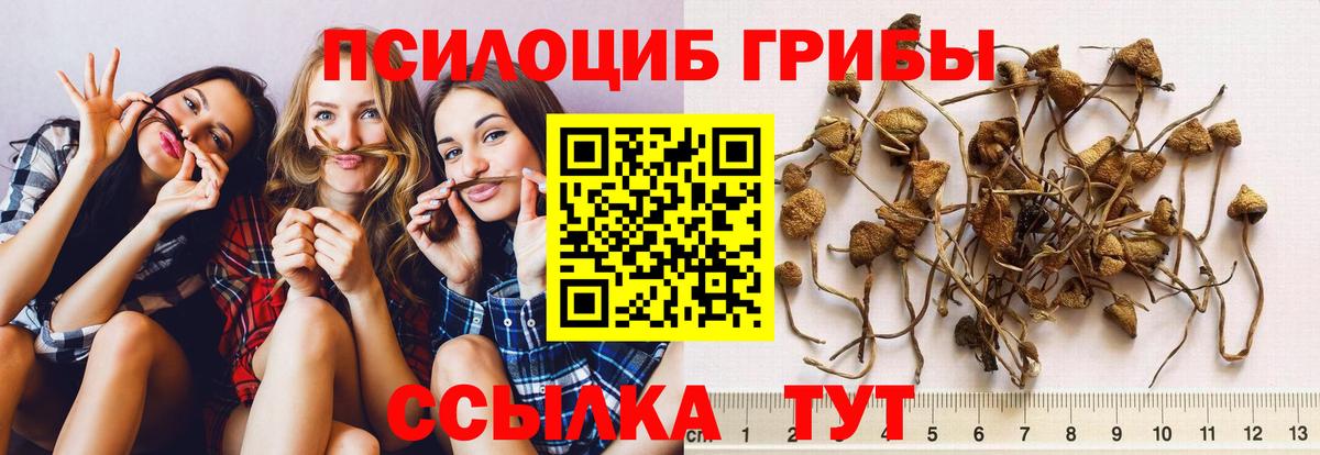 Галлюциногенные грибы мицелий Камень-на-Оби